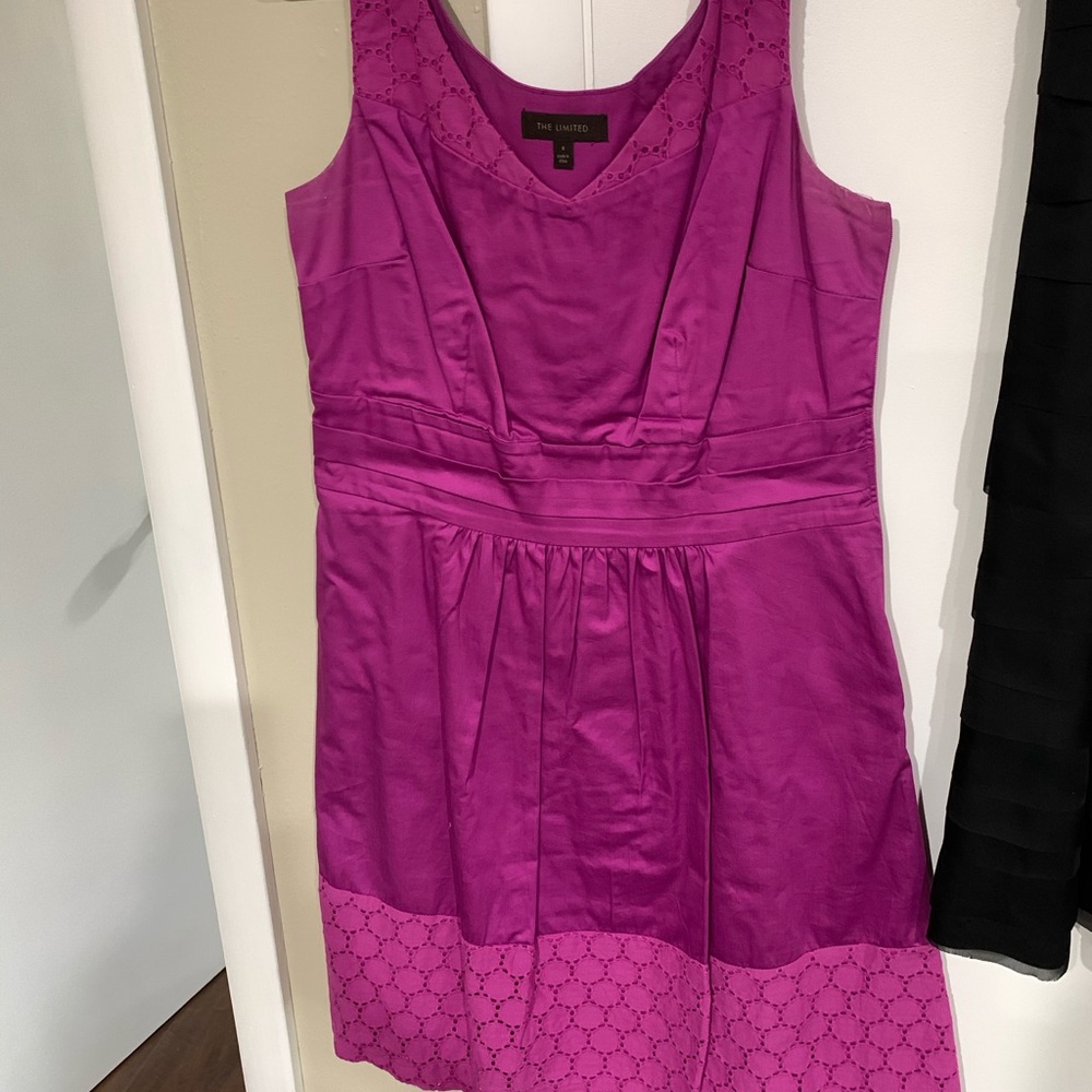 The Limited Pink Dress